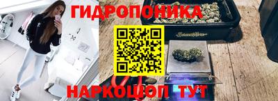 таблы Новодвинск