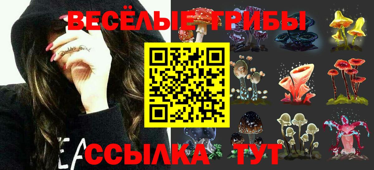 Галлюциногенные грибы Magic Shrooms  Вход с VPN  Родники 